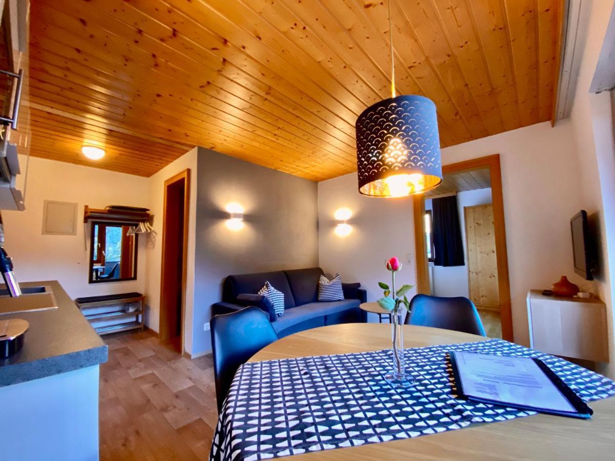 Alpenapart Montafon - Haus Engstler 施伦斯 外观 照片